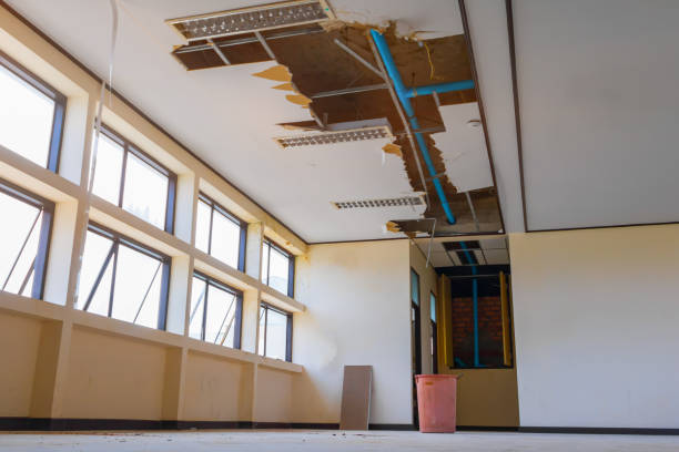 Best Sewage cleanup and water damage restoration  in Kenton, TN