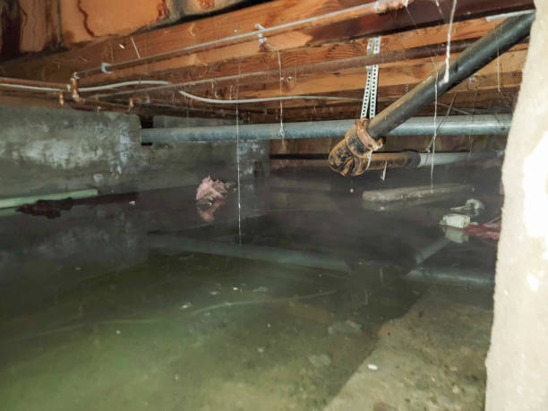 Best Water damage restoration near me  in Kenton, TN