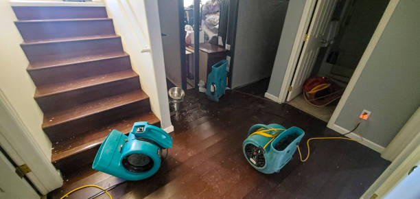 Best Sewage cleanup and water damage restoration  in Kenton, TN