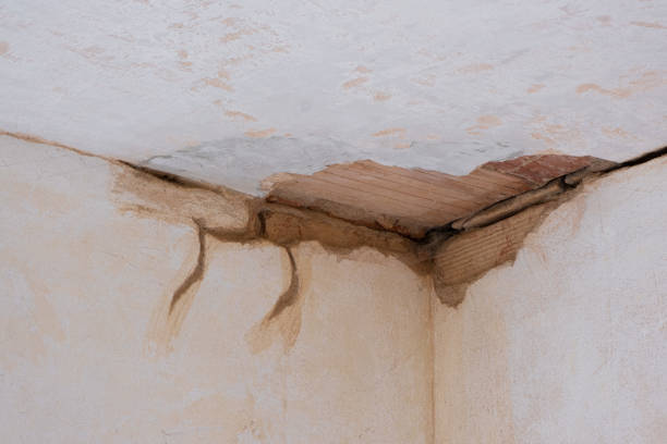 Best Water damage cleanup near me  in Kenton, TN