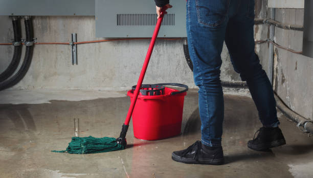 Best Basement water damage restoration  in Kenton, TN