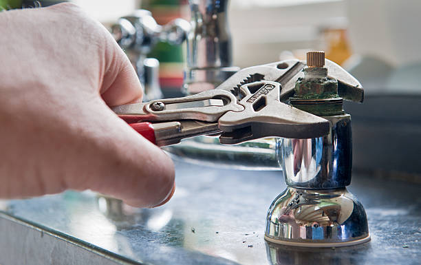 Best Mold removal after water damage  in Kenton, TN