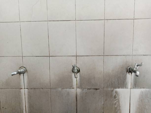 Best Water damage contractors near me  in Kenton, TN