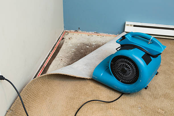 Best 24/7 water damage repair  in Kenton, TN